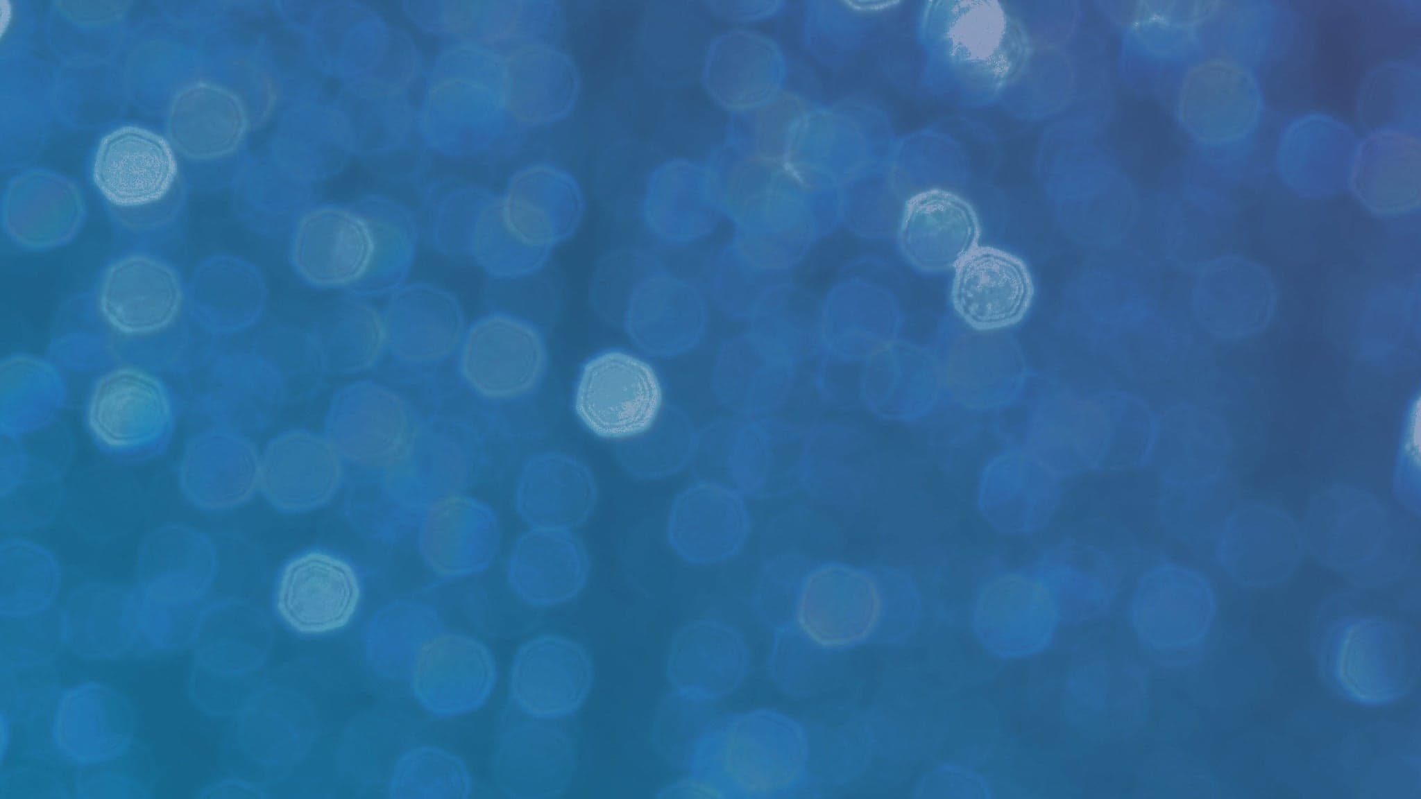 Miscellaneous Shodo (15+) at Japanese Canadian Cultural Centre, Toronto on Mar 15, 2026